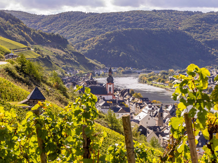 View of Zell (Mosel)
